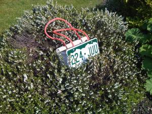 A Fully Licenced Handbag