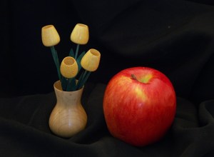 Valentine's Tulips 2013