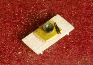 Rice bowl with chopsticks