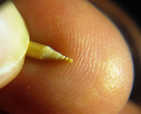 birch 144 scale goblet Nanotray